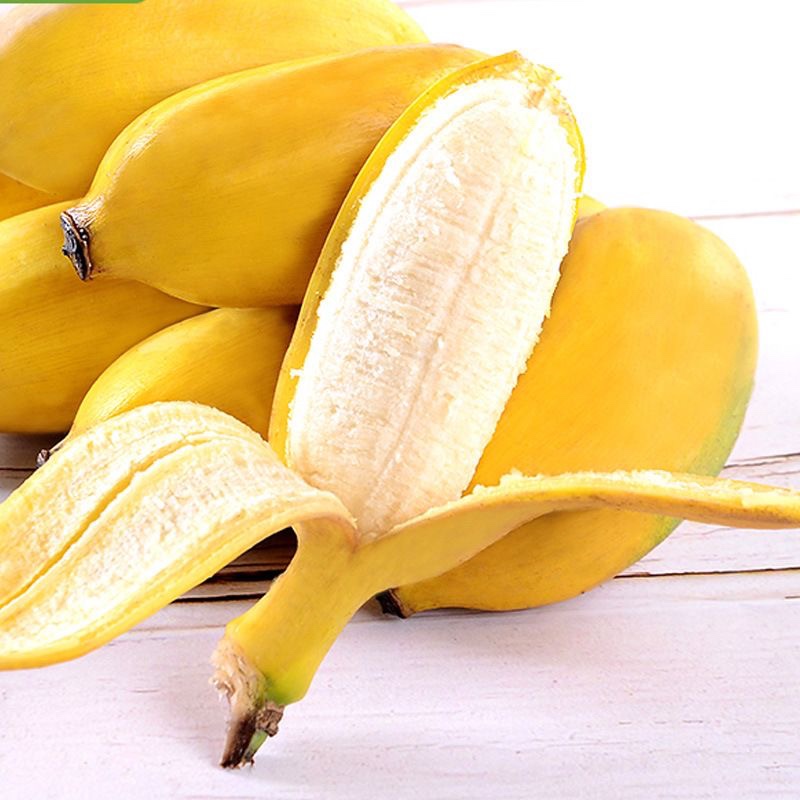 广西正宗小米蕉9斤新鲜香蕉芭蕉水果香焦自然熟整箱苹果蕉粉蕉甜