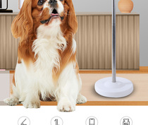 Pet Hair Dryer Bracket Dog Buggy Fur Fixed Frame Vertical Blow Cylinder Fixer Clip Ground Shelf