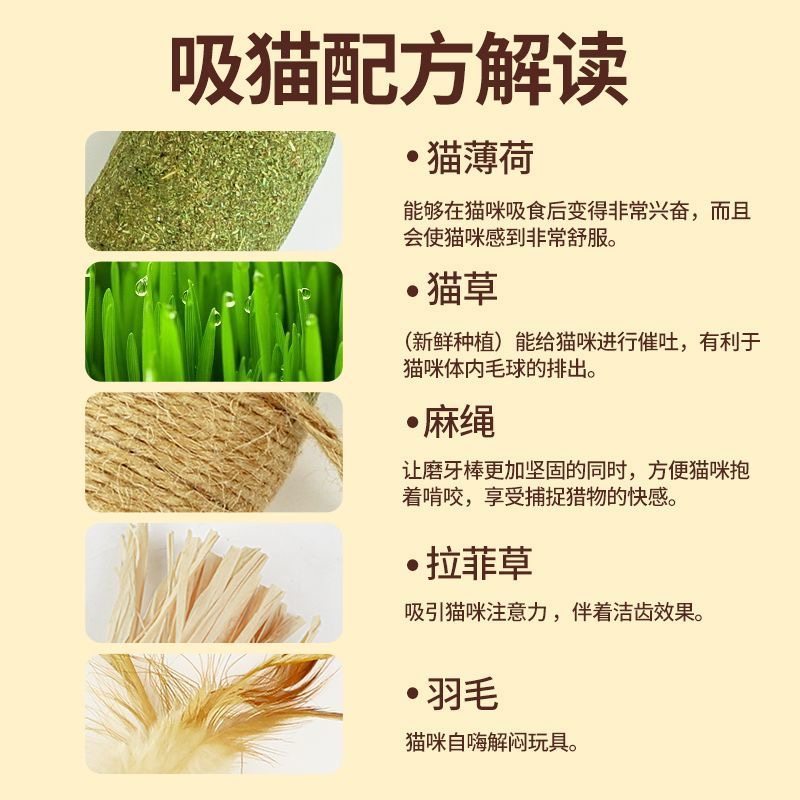 超大猫薄荷棒猫咪专用玩具耐咬猫木天蓼薄荷球逗猫棒猫零食磨牙棒,淘宝优惠券,粉丝福利购,淘宝优惠卷
