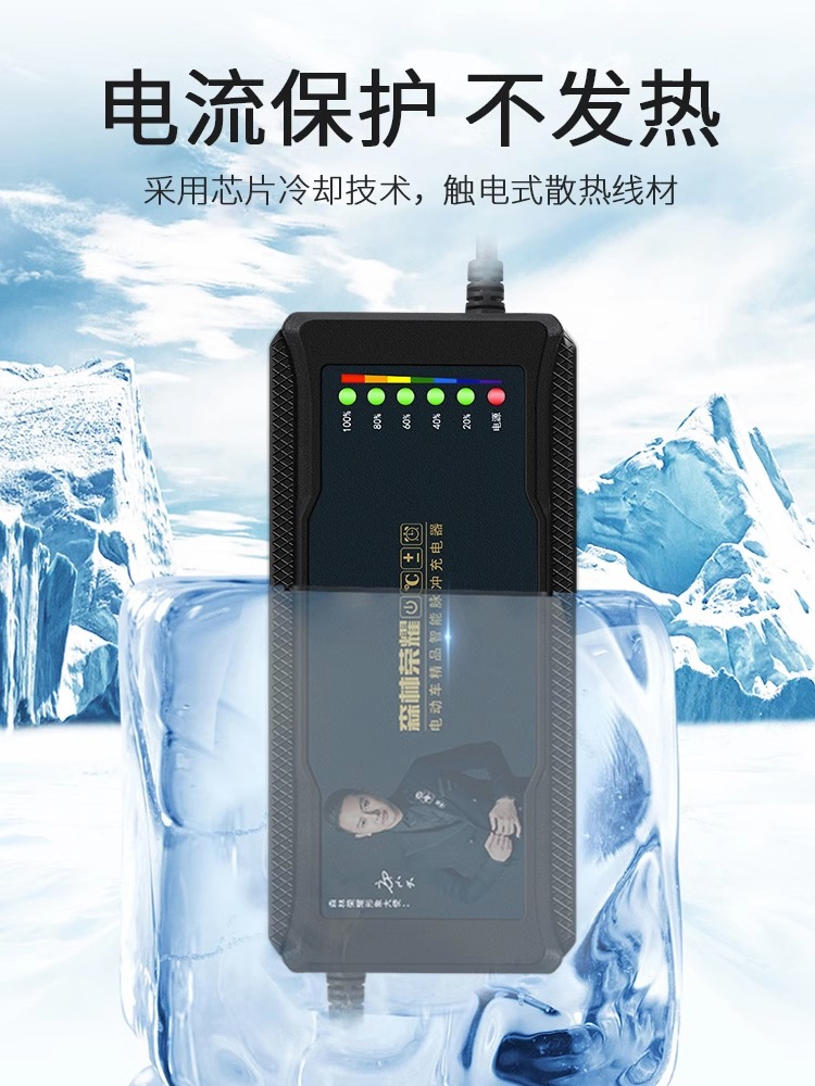 森林荣耀自动断电电动车充电器48V12AH60V20AH72V32A雅迪爱玛三轮