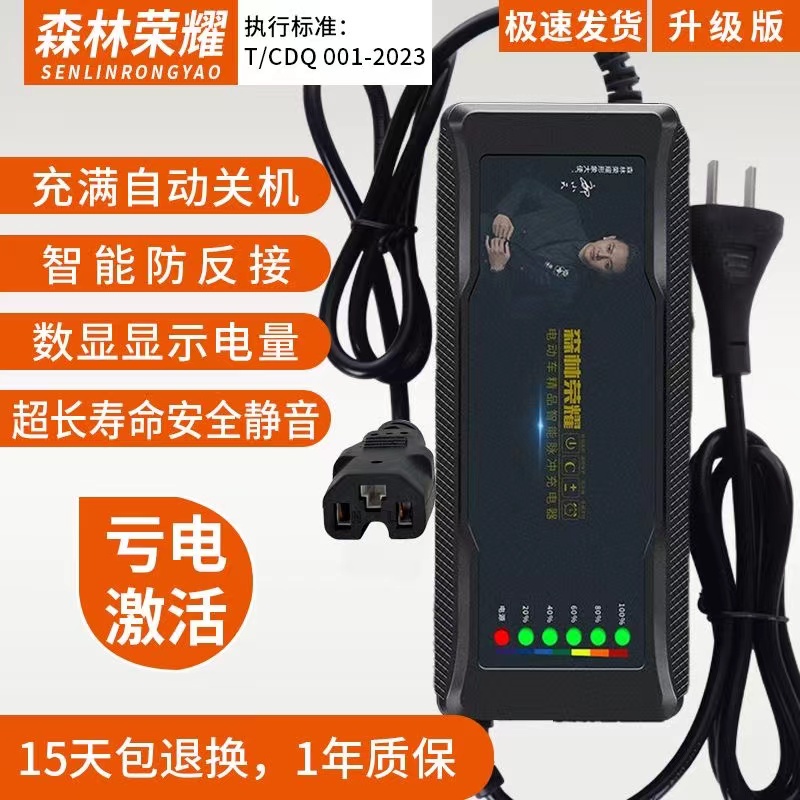 森林荣耀自动断电电动车充电器48V12AH60V20AH72V32A雅迪爱玛三轮 - 图0