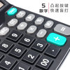 Morning Light 12-bit calculator with voice