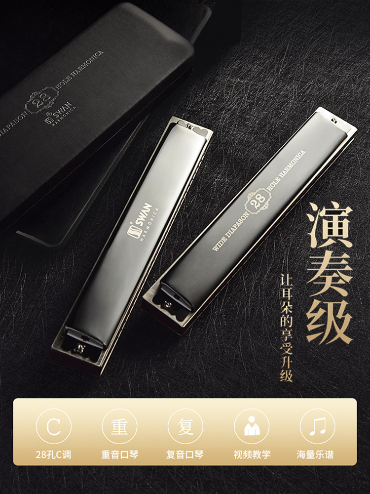 德国进口音簧28孔高级男士重音口琴 浪琴乐器口琴