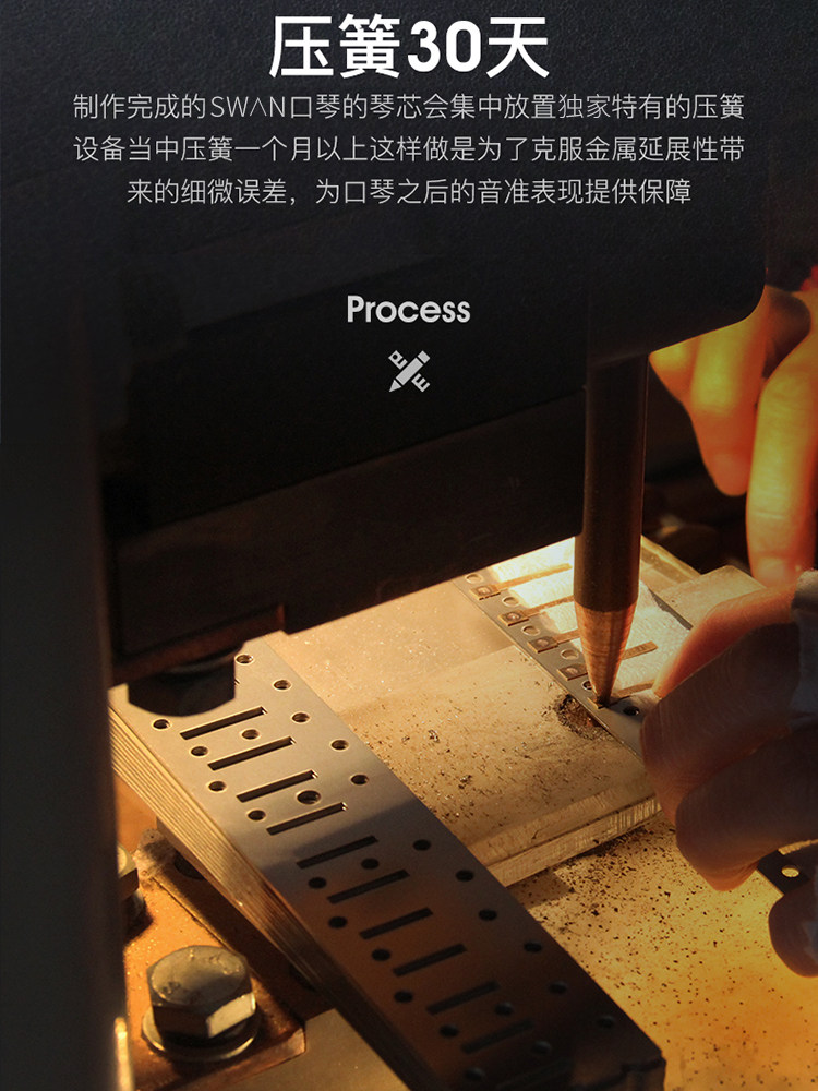 德国进口音簧28孔高级男士重音口琴 浪琴乐器口琴