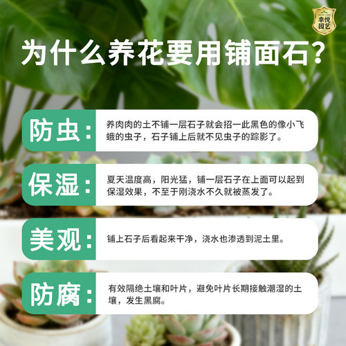 植物花盆栽铺面石多肉专用土颗粒麦饭石赤玉土蛭石子火山石小石头 - 图0