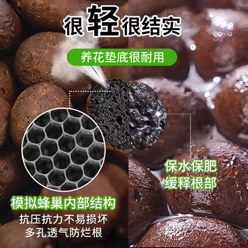 发财树陶粒垫底养花专用营养土盆栽铺面水培轻质粒防烂根透气陶土 - 图1