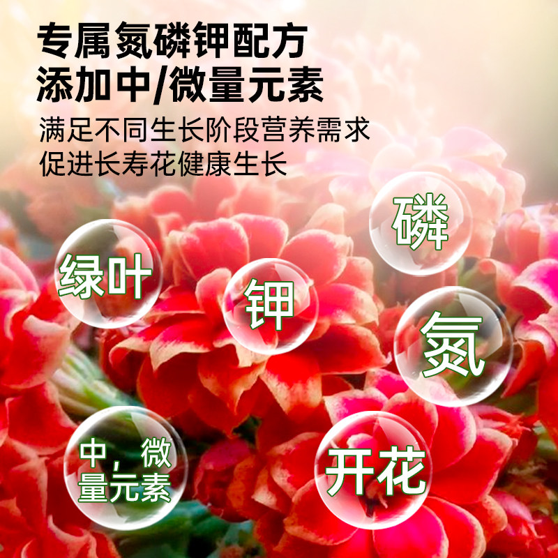 长寿花专用营养液促花肥长寿花专用肥料盆栽花肥催花开花肥专用土,淘宝优惠券,粉丝福利购,淘宝优惠卷