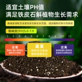 Дендробий специальные почвенные питательные вещества и цветочные цветы