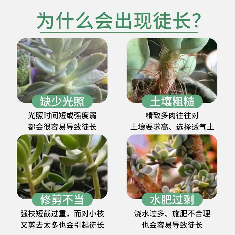 多肉专用矮胖素优芽素上色剂植物促芽增色剂防徒长壮矮素营养液肥,淘宝优惠券,粉丝福利购,淘宝优惠卷