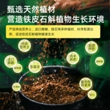 Дендробий специальные почвенные питательные вещества и цветочные цветы