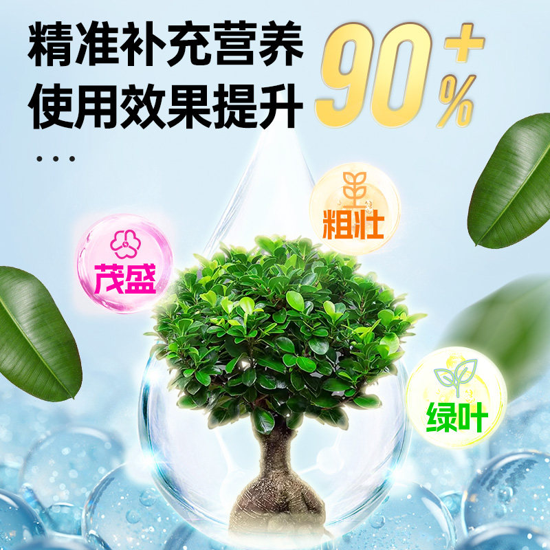 榕树营养液黄叶掉叶不长叶黄金榕人参榕小叶榕树盆景专用肥料,淘宝优惠券,粉丝福利购,淘宝优惠卷