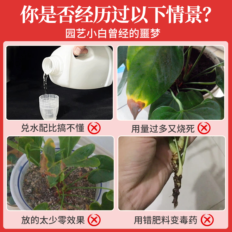 红掌专用营养液免稀释水培开花肥红掌专用肥白掌肥料液体叶面肥 - 图0