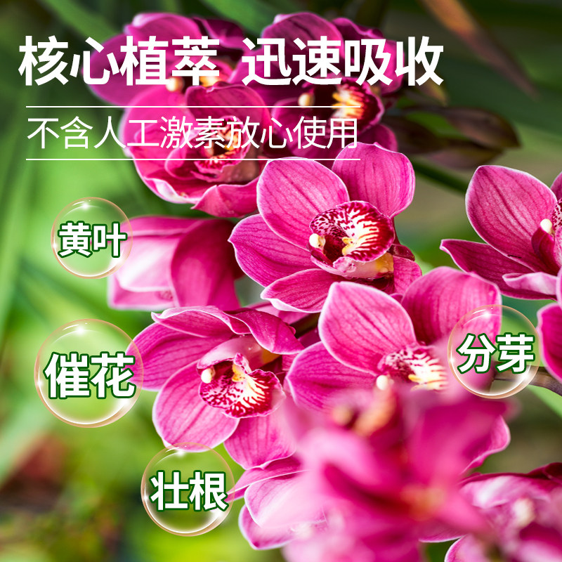 兰花多箭素爆芽素专用营养液肥料专用肥促开花素冒箭素蝴蝶兰肥料,淘宝优惠券,粉丝福利购,淘宝优惠卷