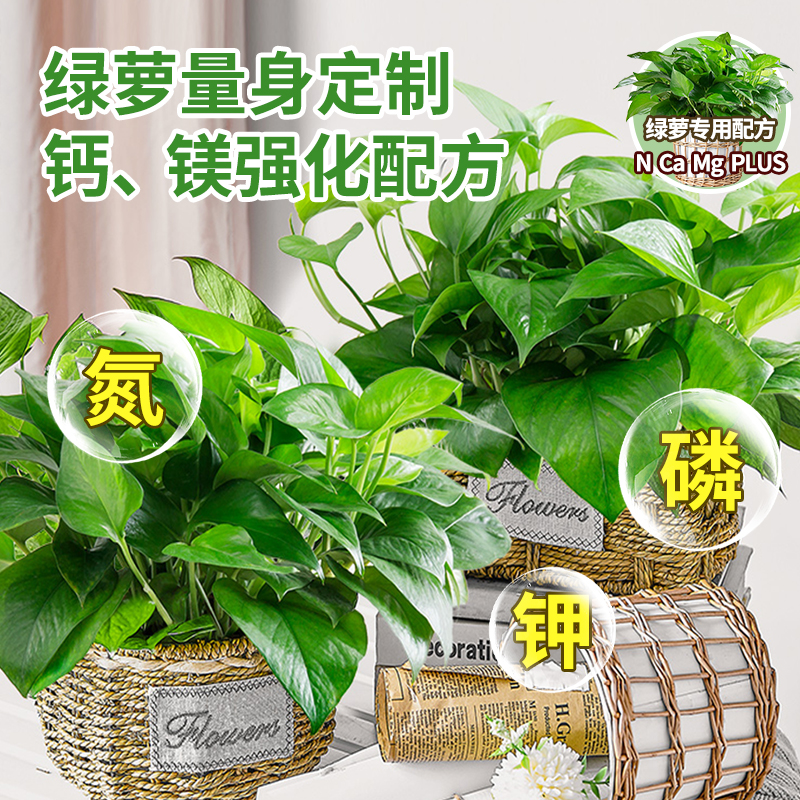 绿萝营养液专用肥防黄叶水培绿箩肥料大叶绿萝营业液免稀释禄萝,淘宝优惠券,粉丝福利购,淘宝优惠卷