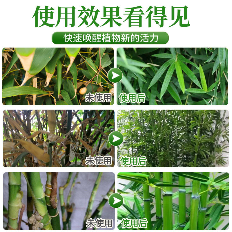 竹子营养液预防叶子发黄盆栽竹子专用肥料免稀释液体肥水溶肥,淘宝优惠券,粉丝福利购,淘宝优惠卷
