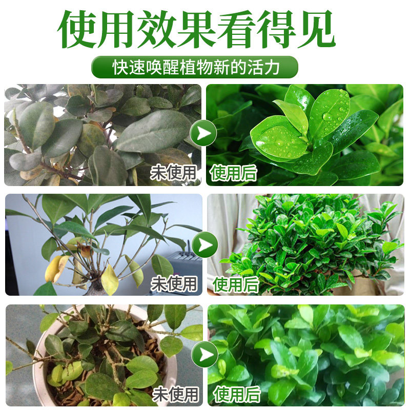 榕树专用营养液肥料金钱榕人参榕小叶榕盆景免稀释叶面液体水溶肥,淘宝优惠券,粉丝福利购,淘宝优惠卷