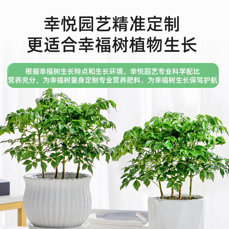 幸福树专用缓释肥复合肥家用型控释颗粒植物盆栽绿植花卉养花肥料 - 图2