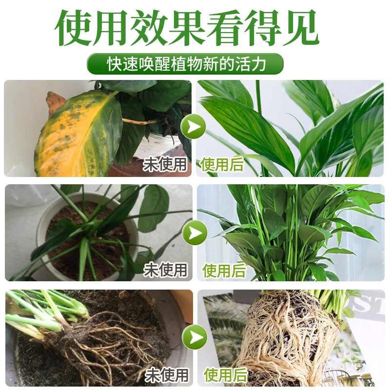 一帆风顺营养液免稀释红掌专用肥料花肥火鹤盆栽水培白掌营养液,淘宝优惠券,粉丝福利购,淘宝优惠卷