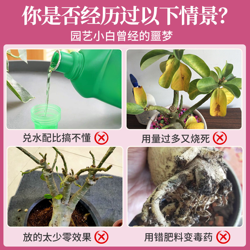 沙漠玫瑰营养液花肥沙漠玫瑰专用肥盆栽促开花肥料液体肥,淘宝优惠券,粉丝福利购,淘宝优惠卷