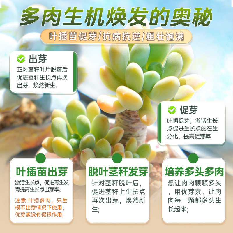 优芽素多肉专用爆芽素植物优牙素多肉营养液肥料专用肥多芽催芽素,淘宝优惠券,粉丝福利购,淘宝优惠卷