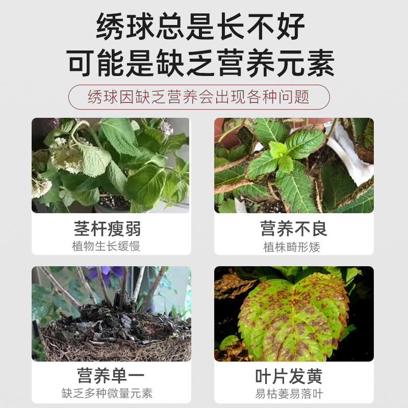 绣球花专用肥料缓释肥颗粒复合肥磷钾肥促开花肥叶子发黄控释肥 - 图0