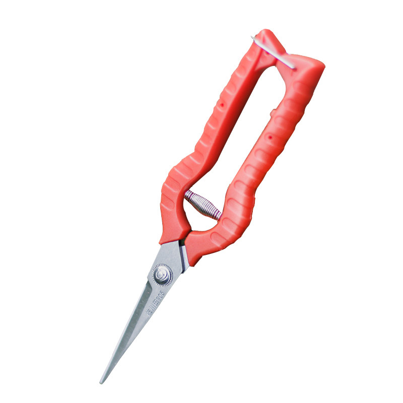 种花王大爷 不锈钢园林 剪刀剪果树剪树枝 修枝 小红多功能省力,淘宝优惠券,粉丝福利购,淘宝优惠卷