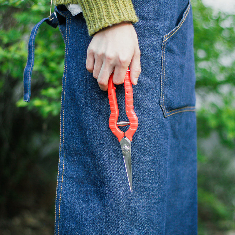 种花王大爷 不锈钢园林 剪刀剪果树剪树枝 修枝 小红多功能省力,淘宝优惠券,粉丝福利购,淘宝优惠卷
