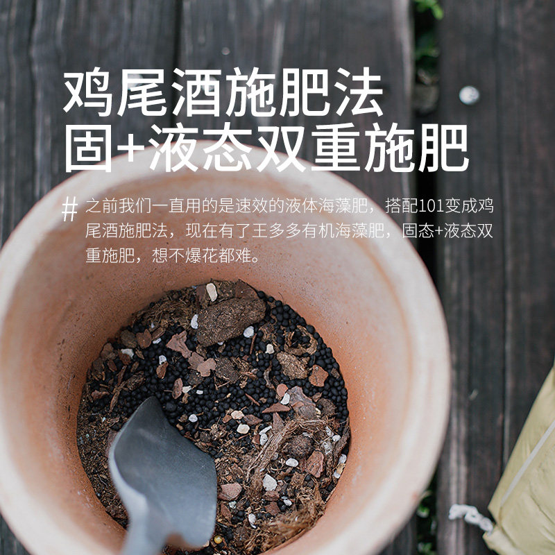 种花王大爷王多多海藻颗粒有机肥海藻肥通用肥料月季玫瑰多肉花肥,淘宝优惠券,粉丝福利购,淘宝优惠卷