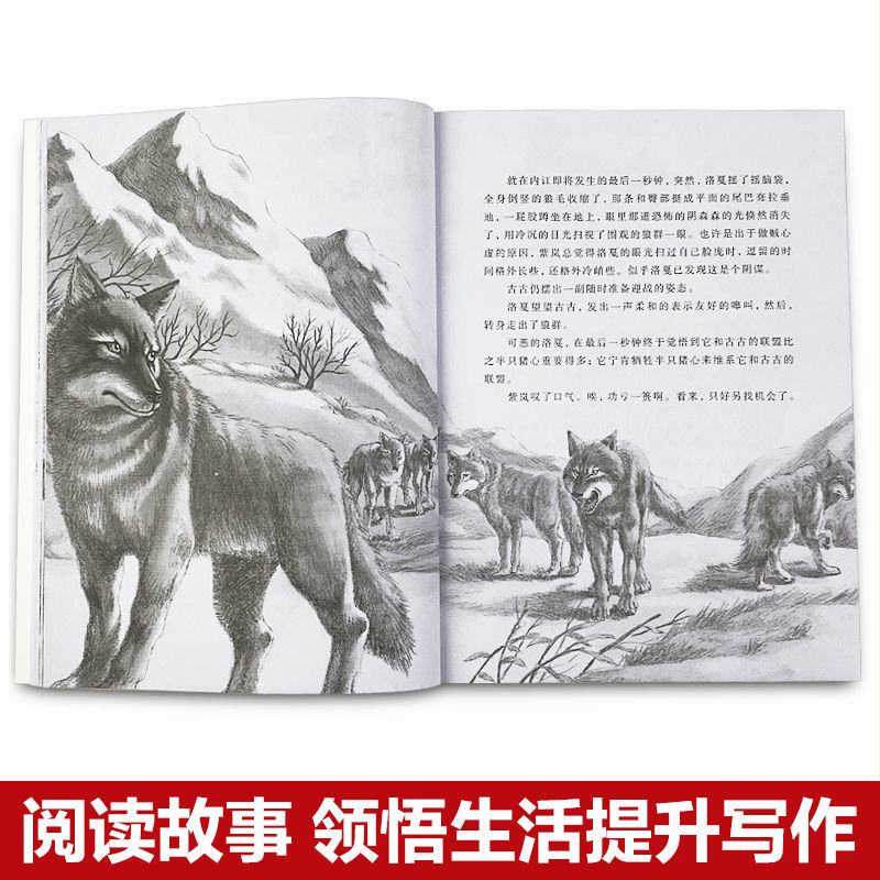 【正版全5冊】狼王夢沈石溪動物長篇小說全集系列正版狼王夢小學生三四五六年級課外書必讀閱讀書籍兒童文學讀物經典書目世界名著_超級思維圖書專營店_書籍_雜志_報紙