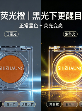 音乐节cos舞台创意玩妆单色眼影