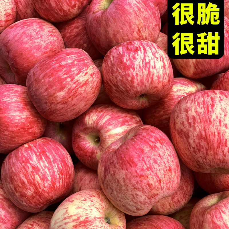 馋绵旗舰店正宗洛川红富士苹果新鲜水果应季脆甜整箱10斤陕西当季一级苹包邮1