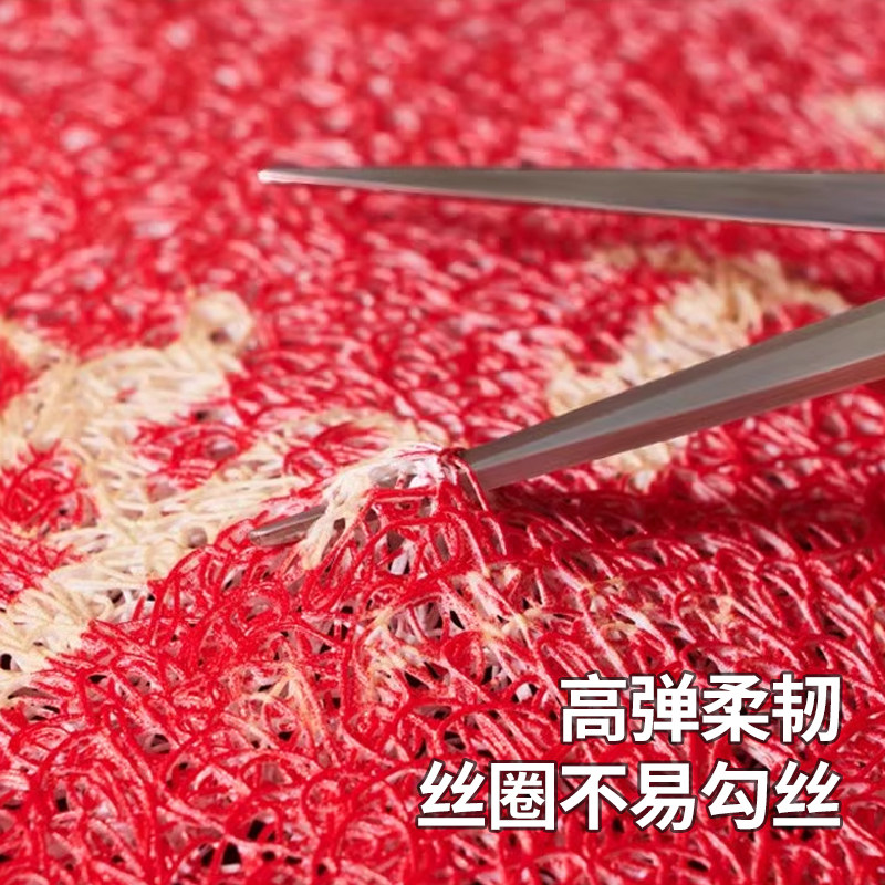 入户门垫红色丝圈进门门口家用玄关脚垫耐脏免洗门外防滑地毯地垫,淘宝优惠券,粉丝福利购,淘宝优惠卷