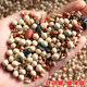 Pigeon food pigeon feeds corn-free grains 20 ປອນ