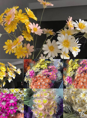 云南工厂手工干花瓜子花 家居装饰摆件用品 彩色瓜子壳瓜子花干花