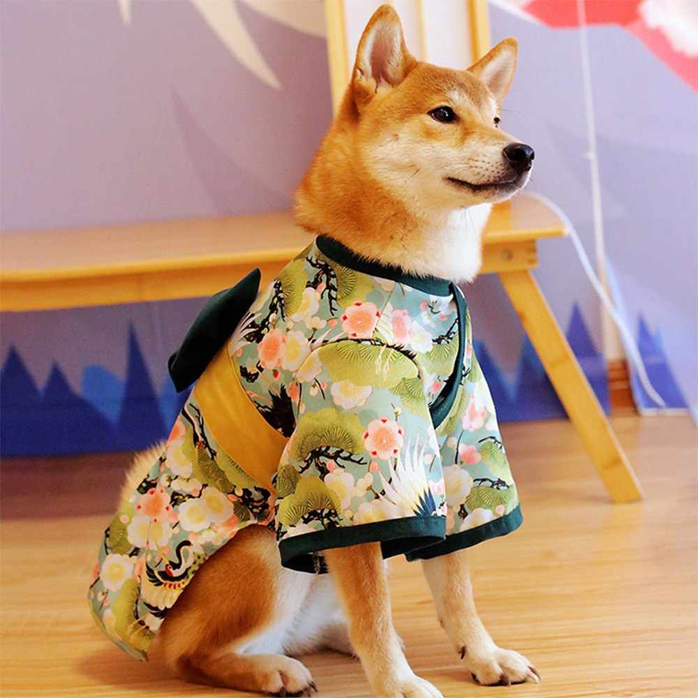 狗狗的和服 新人首單立減十元 21年10月 淘寶海外