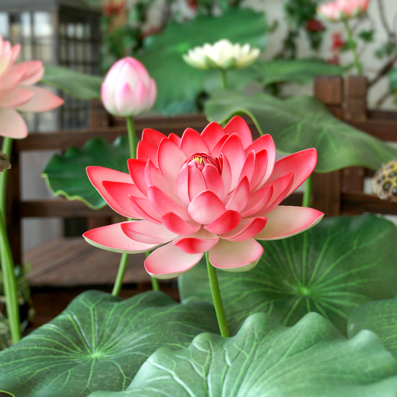 带杆仿真荷花荷叶莲花舞蹈道具水池舞台装饰假绿植仿真花塑料拍摄-图0