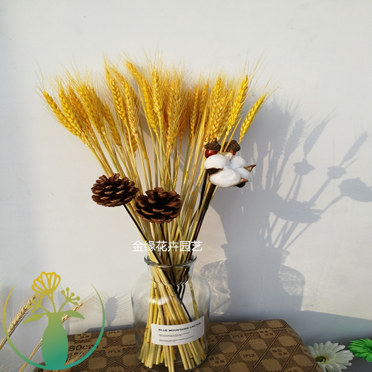 ins花束套装 松果麦穗橡果干花装饰干莲蓬摆件木棉花兔尾草带花瓶