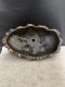 51 cm long handmade purple sand flower pot special-shaped pot long bonsai pot jungle bonsai pot tree stump flower pot