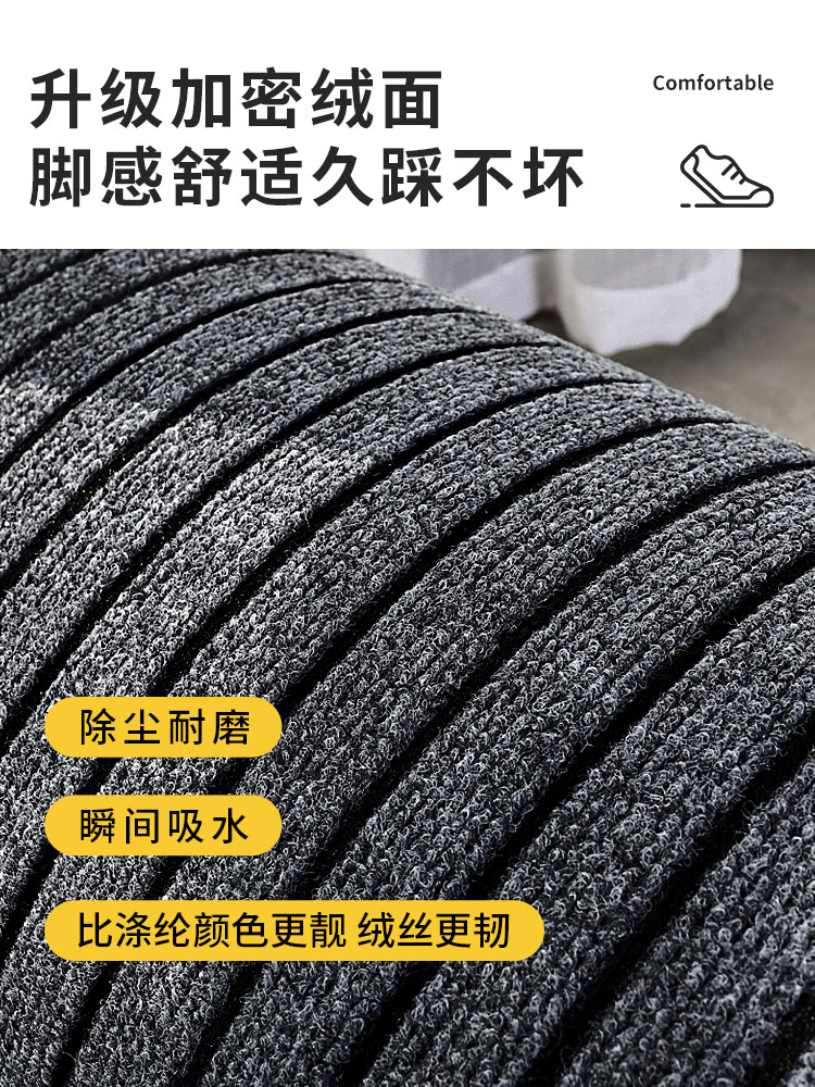 入户门地垫大门口地毯脚垫高级感门垫进门家用耐脏网红吸水除尘垫