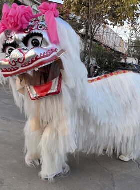 全牛毛白色双人舞狮小白狮
