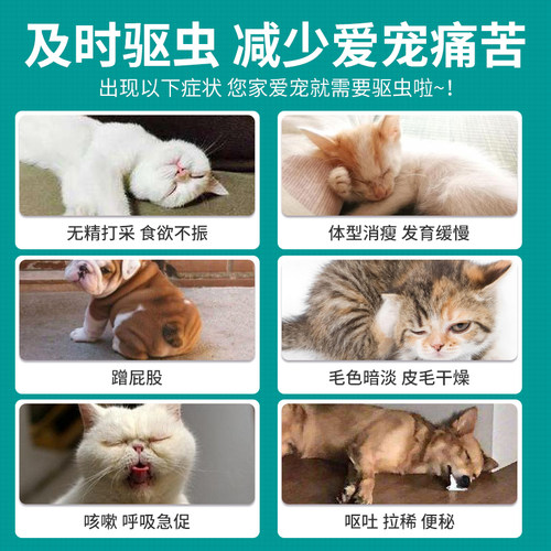 宠物小狗狗猫咪用体内体外一体内驱虫药专用阿苯达唑片幼猫幼犬用 - 图1