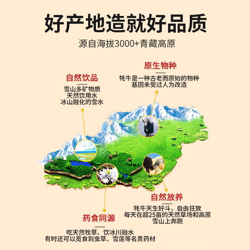 青海手撕牦牛肉干酱卤牛肉风干牛肉干熟食小吃零食正宗官方旗舰店,淘宝优惠券,粉丝福利购,淘宝优惠卷