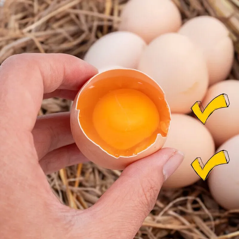 【土鸡蛋礼盒】助农色凤堰秦岭山林散养蛋礼盒福利送礼新日期陕西,淘宝优惠券,粉丝福利购,淘宝优惠卷