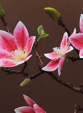 仿真玉兰花客厅花瓶摆件套装