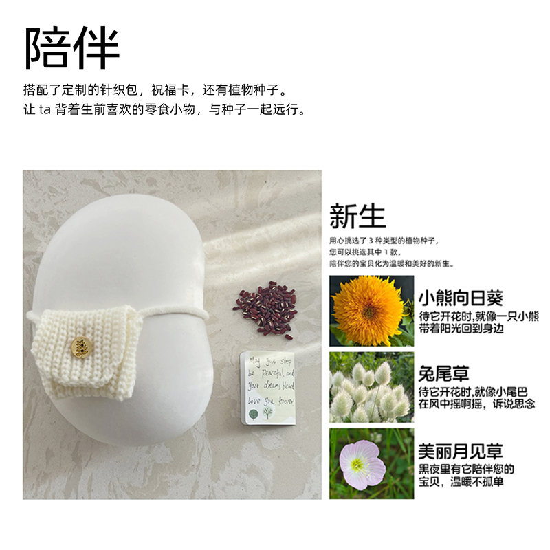 Dreaming宠物骨灰盒狗狗猫咪纸浆环保可降解殡葬未芽纪念盒子原创 - 图1