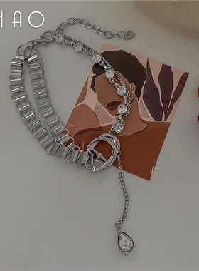 高级感夸张项链女轻奢小众设计嘻哈欧美锁骨链粗链子配饰脖颈链
