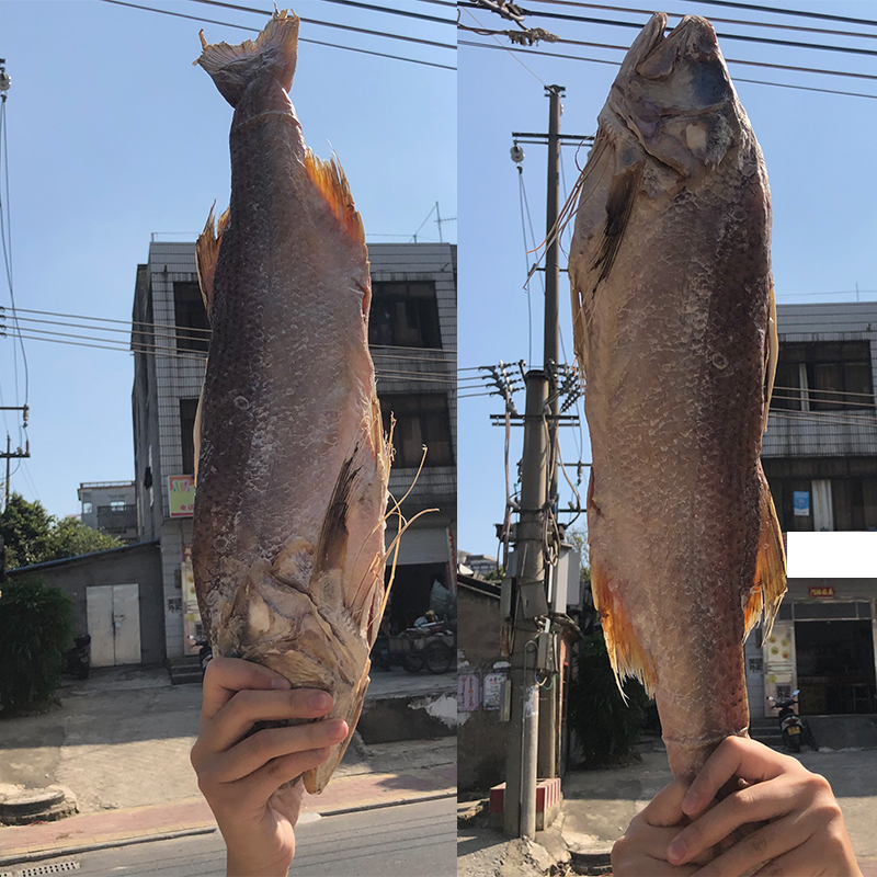 北海特产大马友鱼干咸鱼干马友鱼片马友鱼咸鱼干海鱼海鲜干货500g - 图0