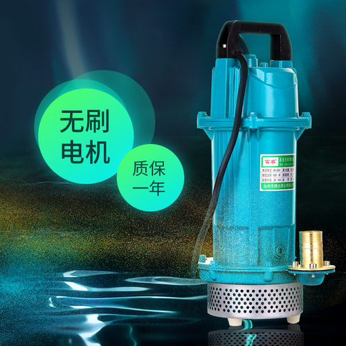 水泵农用灌溉直流潜水泵电动车48v60v高扬程抽水泵无刷电瓶抽水机 - 图2