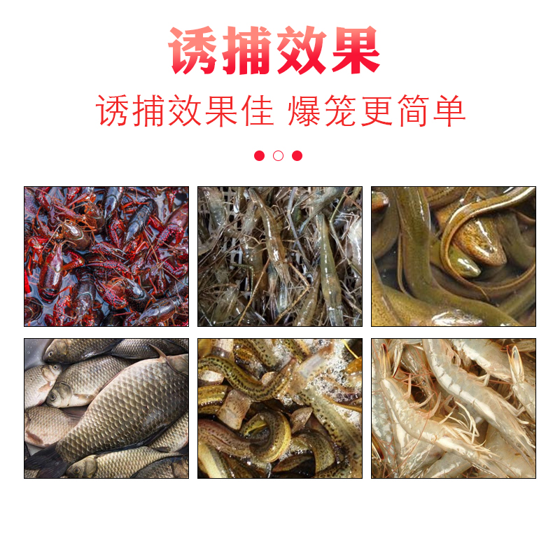 赛蚯蚓专用捕虾笼诱饵龙虾河虾饵料折叠渔网游龙泥鳅黄鳝鱼笼饵料 - 图2