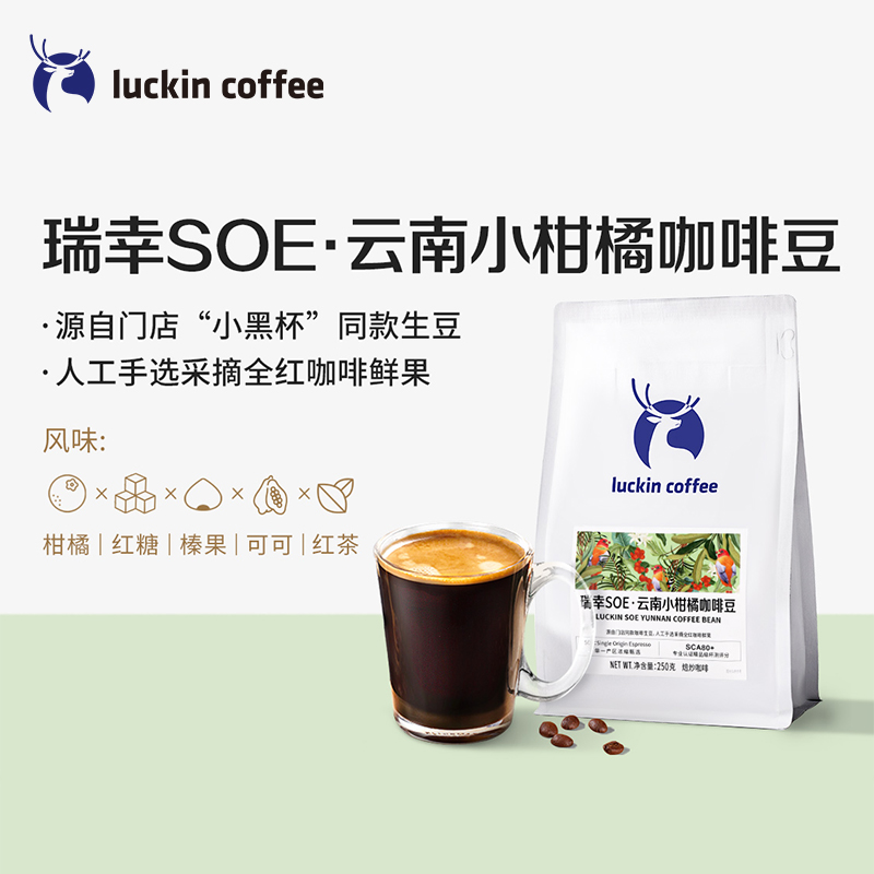 【门店同源咖啡豆】瑞幸SOE·云南小柑橘精品咖啡豆中深烘焙250克 - 图0